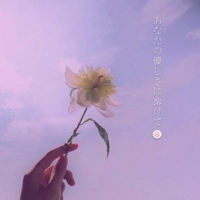 虚拟免root空间app下载